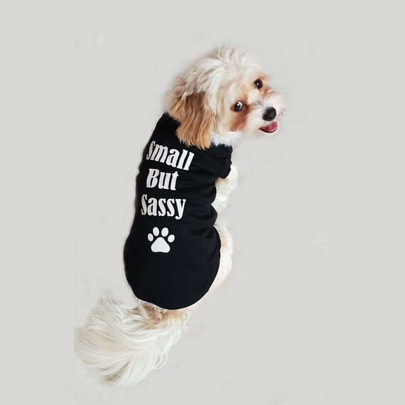 cheap dog clothes uk