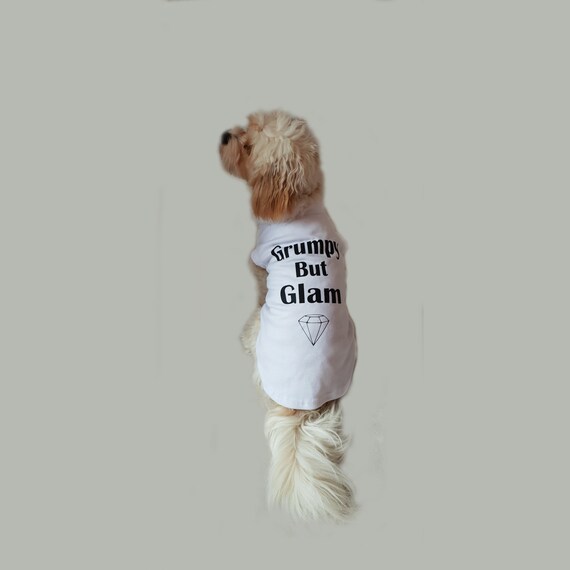 cute dog apparel