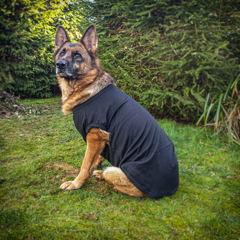 Custom Dog T Shirt Personalized Dog Clothing With Your Dogs Etsy UK