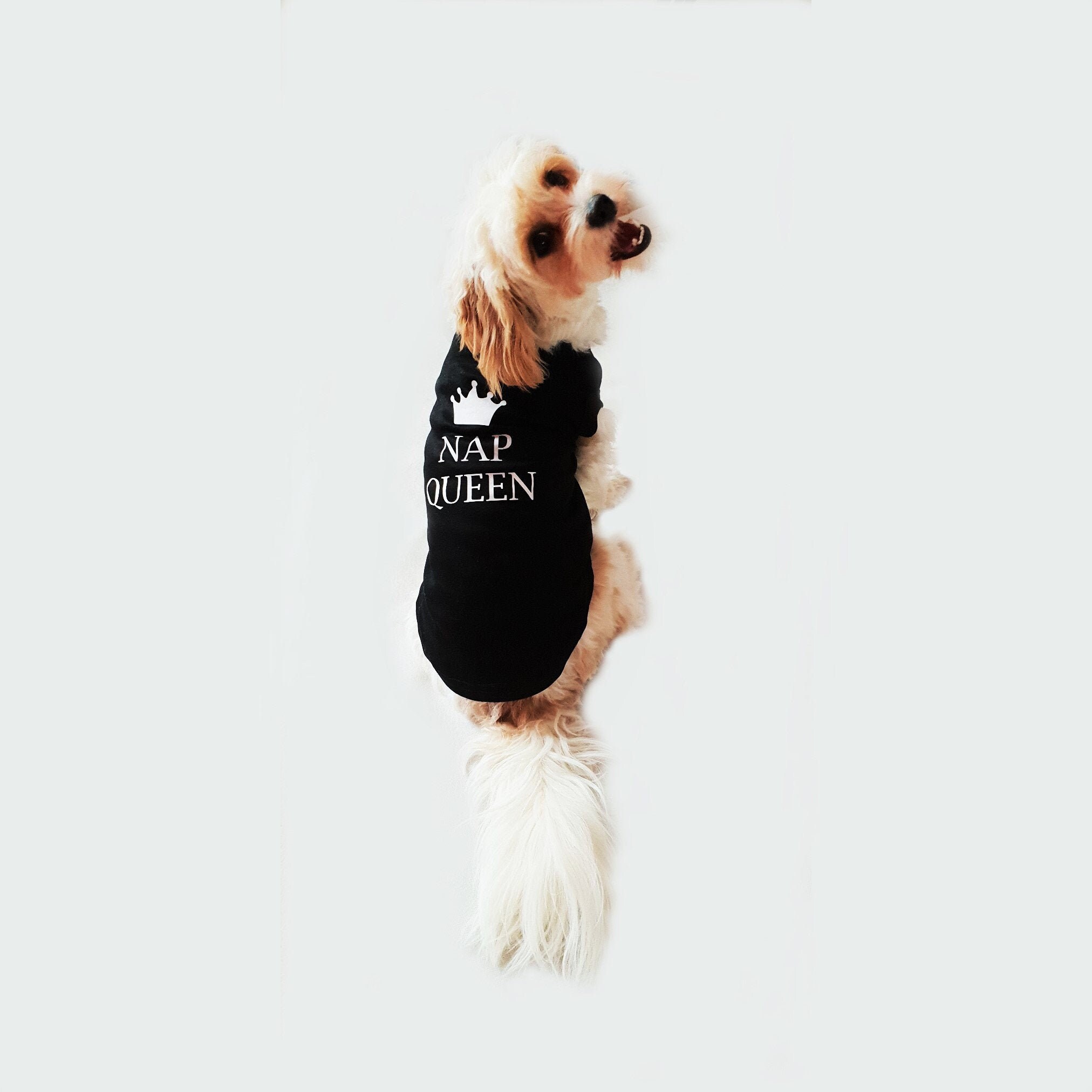 funny dog vest