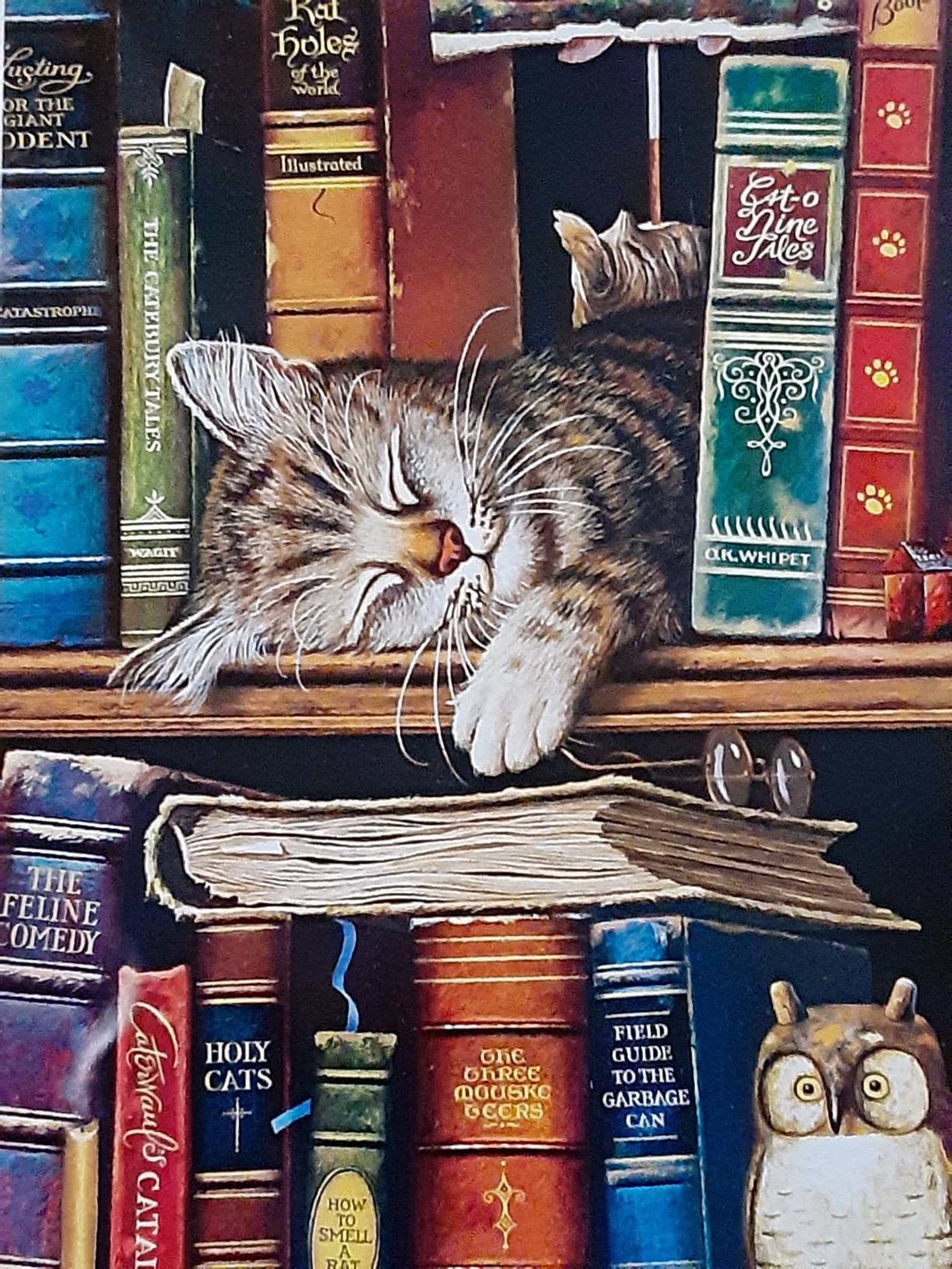 New Cats bookshelf puzzle Frederick the Literate 750 pcs Etsy
