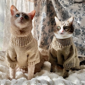 Puede incluir: Dos gatos con suéteres de punto beige sentados sobre una superficie blanca y esponjosa. Un gato tiene ojos azules y pelaje marrón claro, el otro tiene ojos verdes y un patrón atigrado. El fondo incluye una ventana y cortinas con estampado floral.