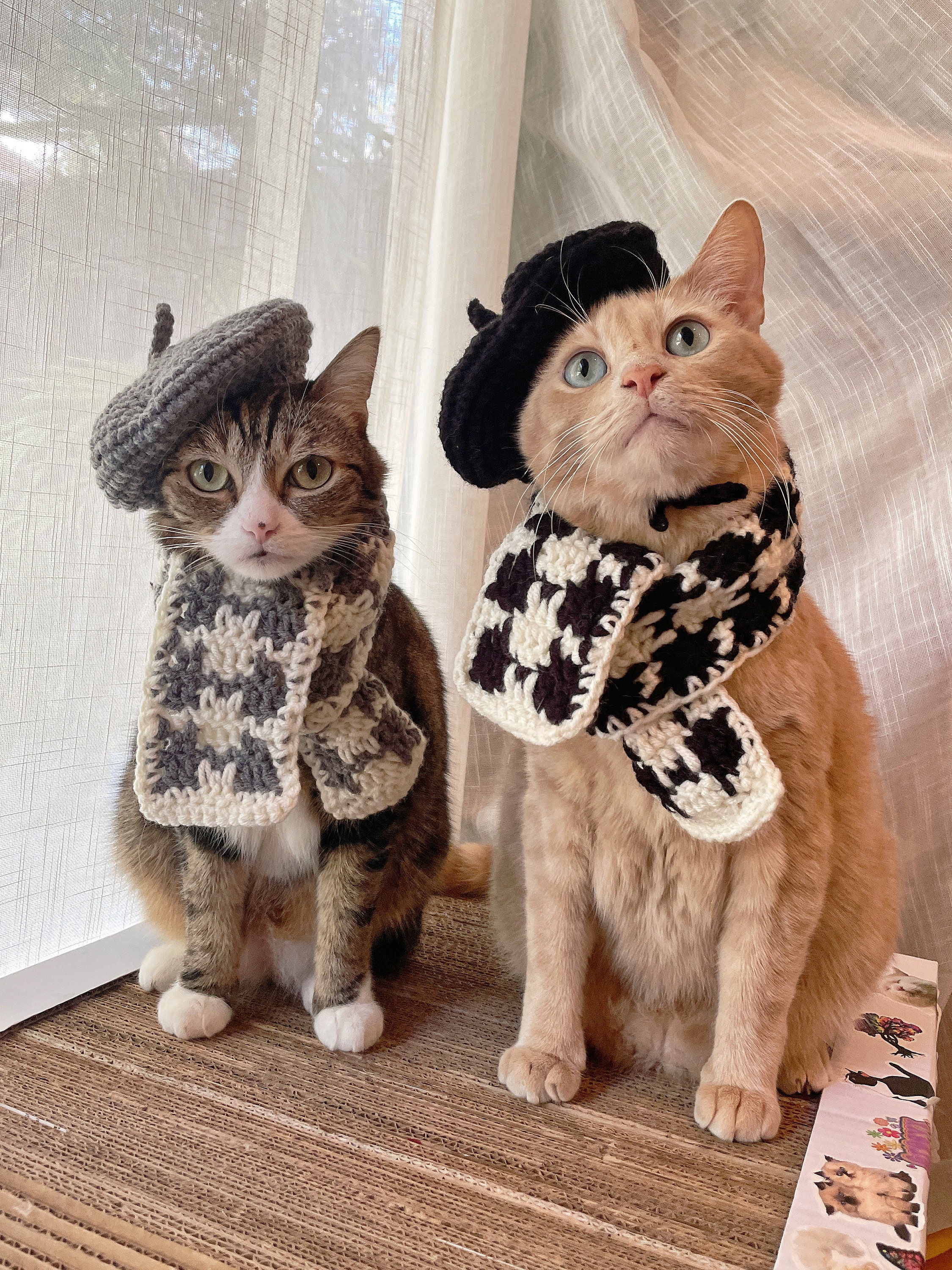 Luxury Cat Clothes  Designer Cat Clothes, Trendy Cat Clothes