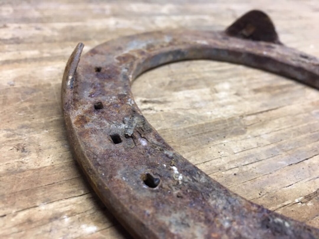 Used Horseshoes With Tabs Etsy