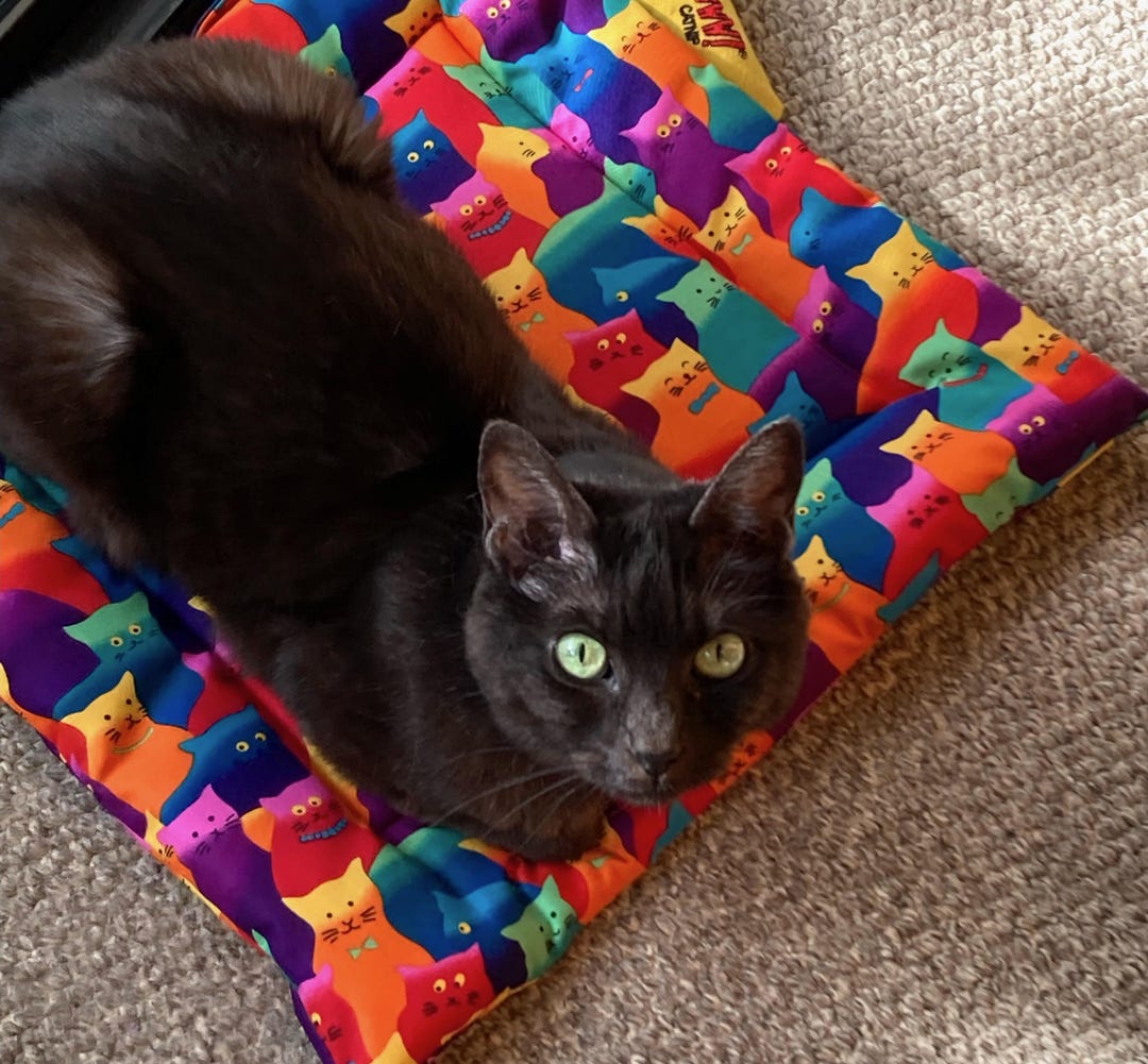 Plush Catnip Cat Mats in a Variety of Colors - Etsy