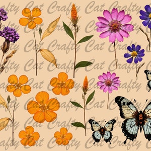 May include: A digital collage featuring pressed flowers and butterflies. The flowers are in shades of pink, purple, and yellow. The butterflies are black and white, and blue and white.