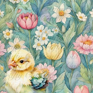 Peut inclure: Un petit poussin jaune avec des plumes bleues et vertes se tient dans un champ de fleurs roses, blanches et jaunes. L'arri&egrave;re-plan est une aquarelle bleu clair.