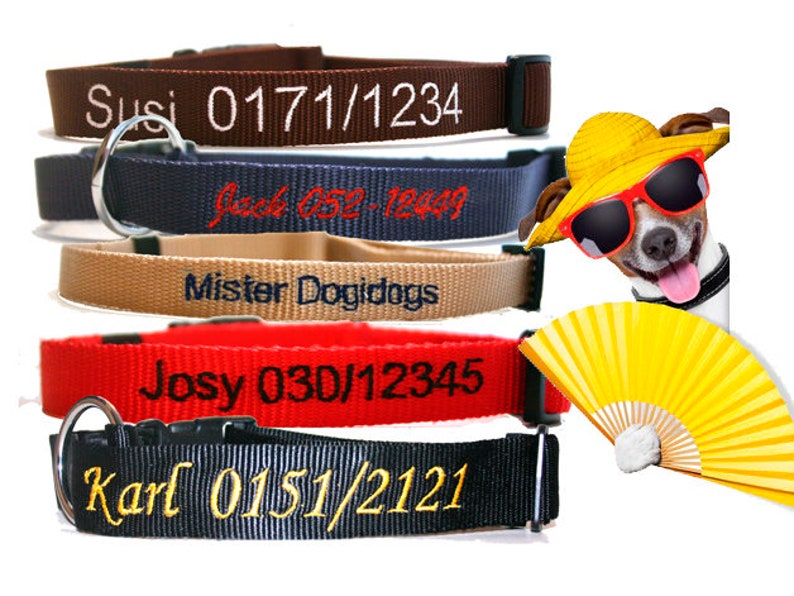 Dog collar with Name and phone number 20 mm Etsy