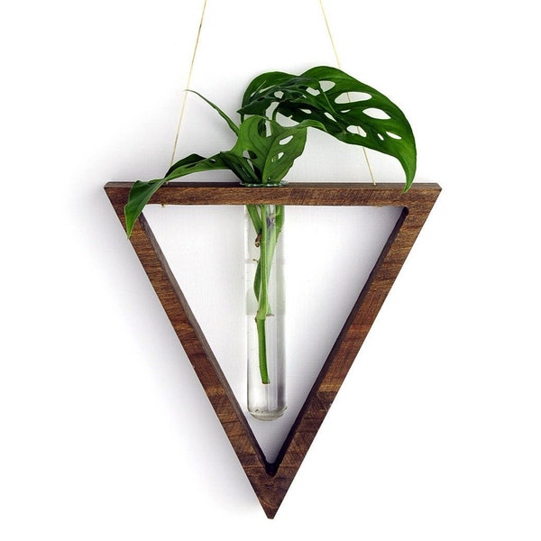 Propagation Station, Triangle Vase, Wall Hanging, Minimalist, Handmade Vase, New Boho, Dorm decor, and air plant holder