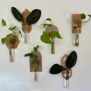 Customize your Propagation Wall ,Glass vase, Boho Vase, Wall Hanging,Propagation station ,Arch Vase ,Boho decor ,Minimalist vase, Dorm Decor