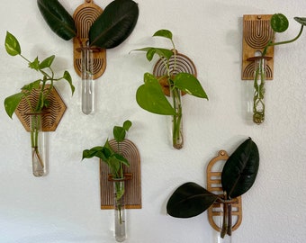 Propagation Wall , Include 6 Wall Hanging Propagation station vases !