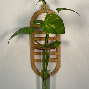 Boho Wall Hanging Propagation Station: Glass Vase, Wood Arch Decor