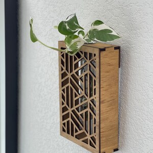 May include: A wooden wall planter with a geometric design and a clear glass tube for holding a plant. The planter is mounted on a white wall and a green plant with white variegation is growing inside.