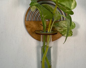 Propagation Station, Boho Vase, Wall Hanging, Glass vase, Round Vase , Boho decor ,Minimalist vase , new boho , and air plant holder!