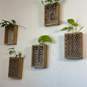 May include: Five wooden wall planters with geometric cutouts, each holding a small potted plant. The planters are mounted on a white wall.