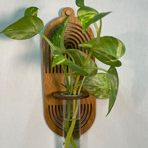 Boho Wall Hanging Propagation Station: Glass Vase, Plant Holder