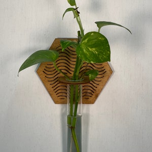 Boho Hexagonal Wall Hanging Propagation Station: Glass Vase