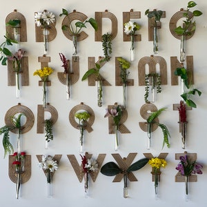 May include: Wooden letters of the alphabet with small glass test tubes attached to each letter. Each test tube holds a different type of flower or plant.