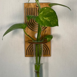 May include: A wooden wall planter with a geometric design and a clear glass test tube for holding a plant. The plant is a green pothos with variegated leaves.