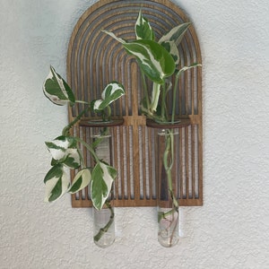 May include: A wooden wall planter with a rainbow design and two glass test tubes for holding plants. The planter is mounted on a white wall and has a small wooden knob at the top.