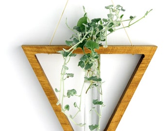 Propagation Station, Triangle Vase, Wall Hanging, Minimalist, Handmade Vase, New Boho, Dorm decor, and air plant holder