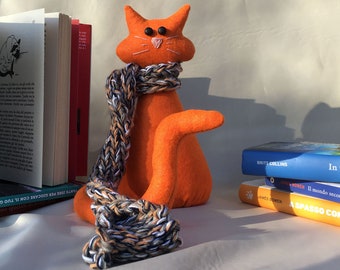 Orange cat in cloth