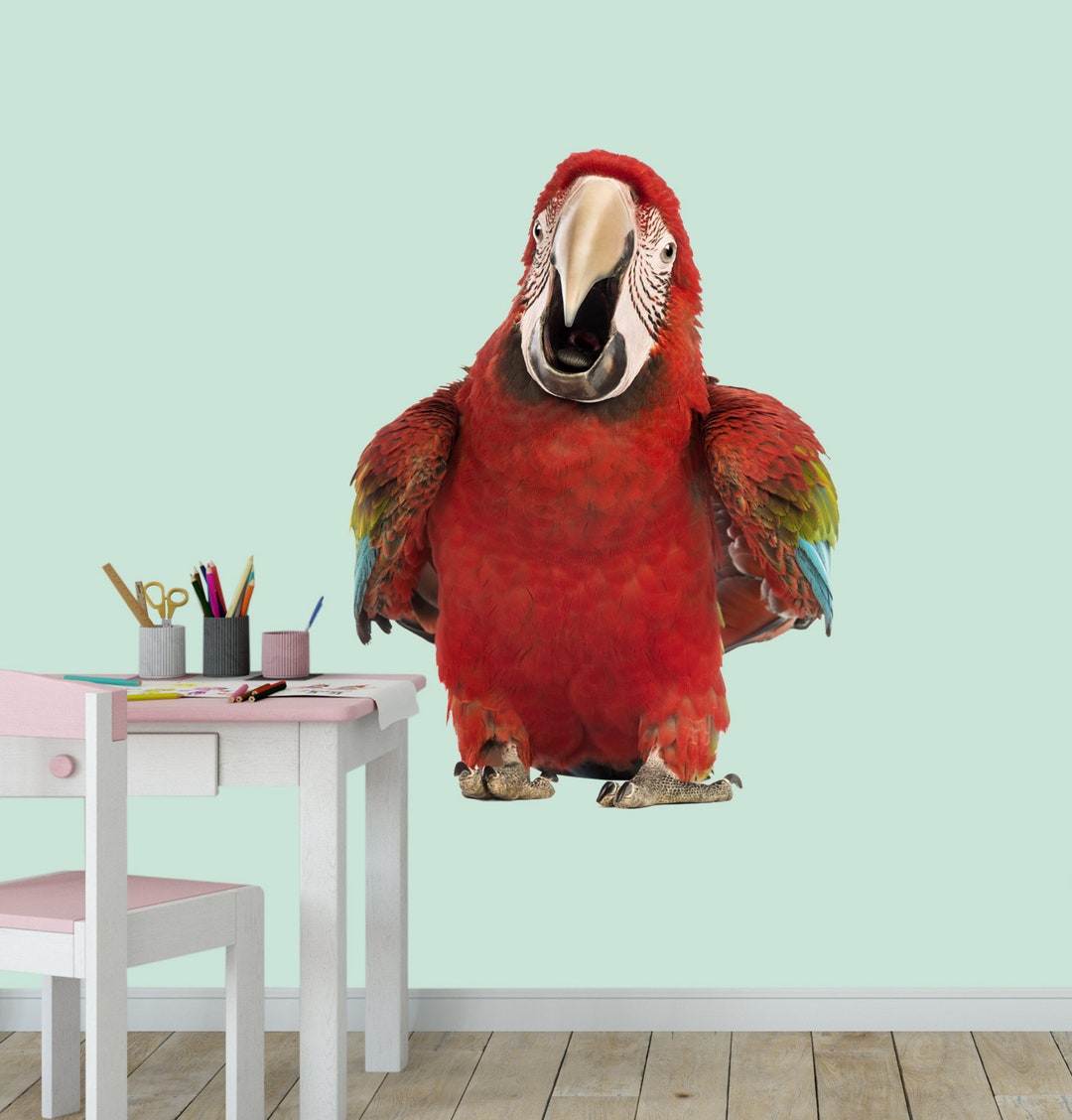 Parrot Wall Decal Color. 3D Wall Decal Style for Nursery. - Etsy