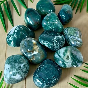 May include: A collection of polished moss agate stones featuring deep forest green hues, translucent areas, and intricate white dendritic inclusions. These smooth, rounded mineral specimens display varied patterns of moss-like formations throughout.