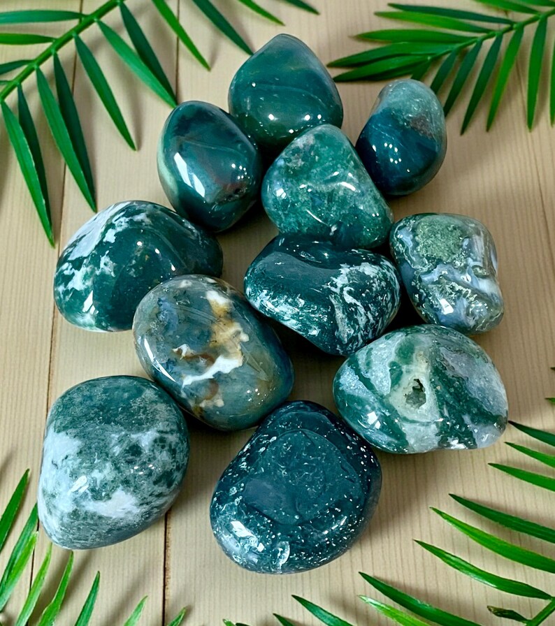 May include: A collection of polished moss agate stones featuring deep forest green hues, translucent areas, and intricate white dendritic inclusions. These smooth, rounded mineral specimens display varied patterns of moss-like formations throughout.