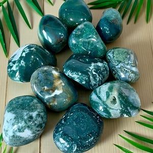 May include: A collection of polished moss agate stones featuring deep forest green hues, translucent sections, and intricate white dendritic inclusions. These smooth, rounded mineral specimens display varied patterns of moss-like formations.