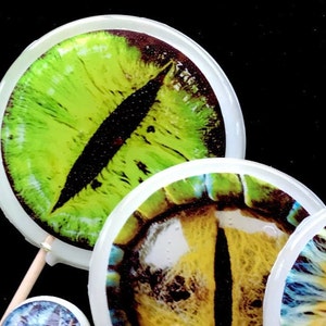 Mega Creature Eye Lollipop 1-piece by I Want Candy!