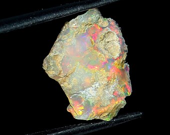 May include: A rough, irregular piece of opal with a white, gray, and brown exterior. The opal has a rainbow of colors, including red, orange, yellow, green, blue, and purple, visible within the stone.