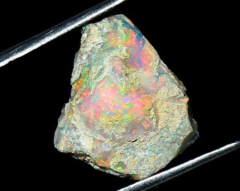 May include: A rough, gray, and white opal gemstone with iridescent flashes of green, blue, pink, and orange. The opal is held in tweezers against a black background.