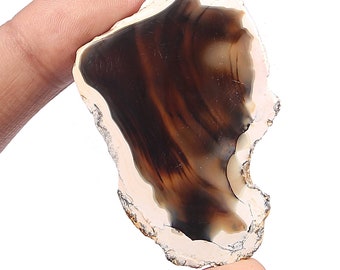 Natural Gemstone US Biggs Picture Jasper Cabochon Pair New 17x12x3mm 1.8g Y5947