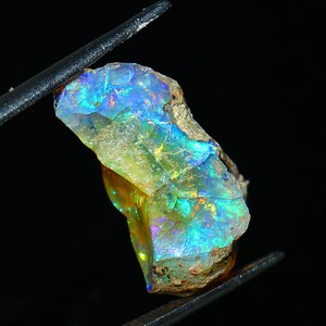 Könnte beinhalten: Ein roher Opal-Edelstein mit einer lebendigen Farbpalette, darunter Blau-, Grün- und Gelbtöne. Der Stein wird von einer Pinzette vor einem schwarzen Hintergrund gehalten, wodurch seine natürliche, unpolierte Textur und das schillernde Farbspiel hervorgehoben werden.