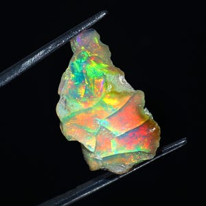 Peut inclure: Une pierre d'opale brute vibrante, affichant un spectre de couleurs comprenant le rouge, le vert et le jaune. L'opale est maintenue par une pince à épiler sur un fond noir, mettant en valeur sa forme naturelle irrégulière et son jeu de couleurs irisé.