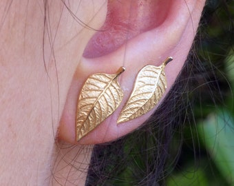 May include: A pair of gold leaf earrings. The earrings are small and delicate, and they have a textured surface.