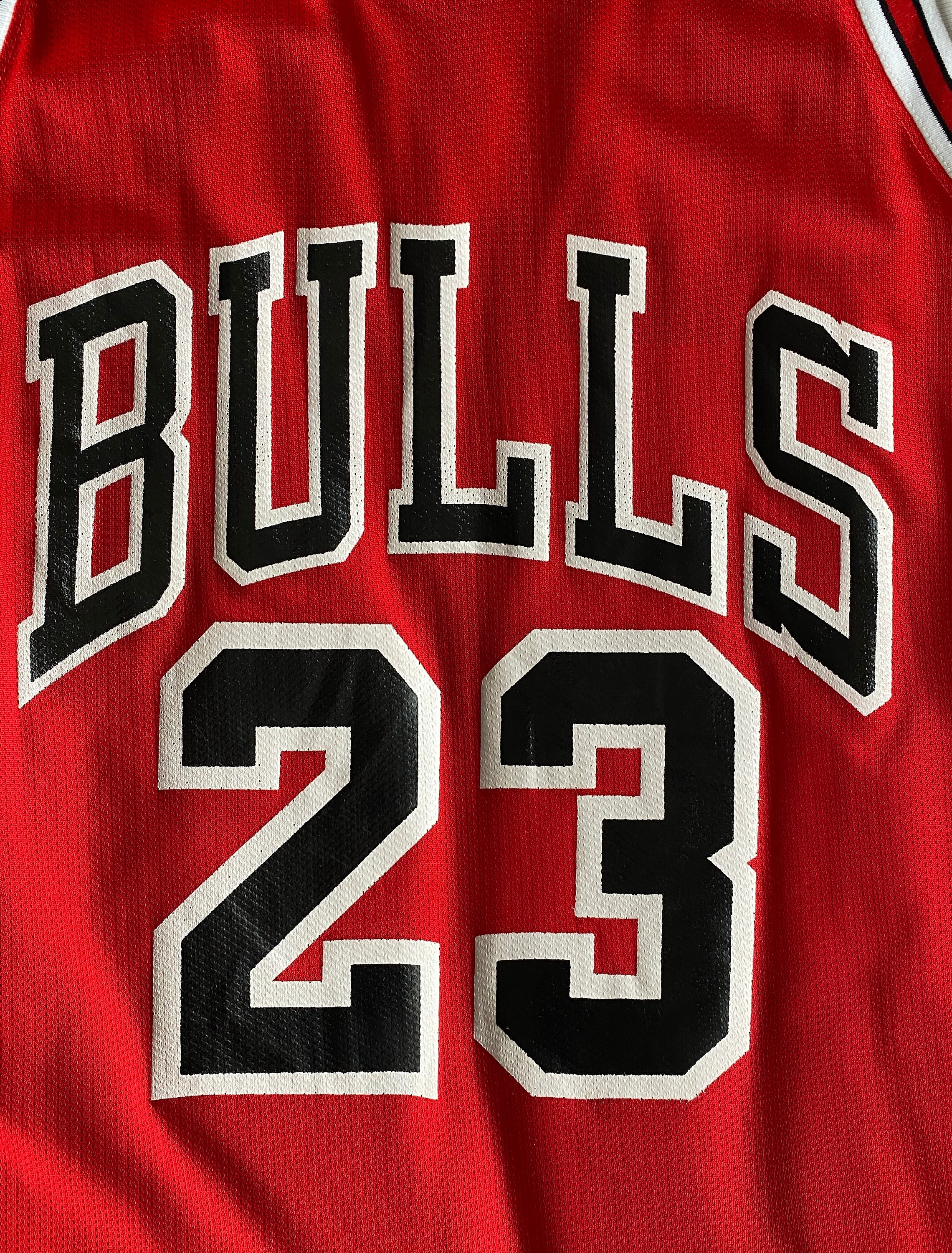 90's Dennis Rodman Chicago Bulls Champion NBA Jersey Size 48 XL – Rare VNTG