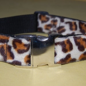 Collare per Lion Tamer