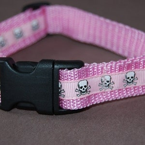 May include: Pink dog collar with a black plastic buckle and a silver metal D-ring. The collar features a repeating pattern of white skulls and crossbones on a pink ribbon.
