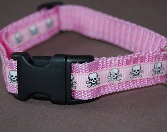 Hundehalsband für Piratenbräute