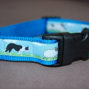 Halsband für Bordecollie-Fans