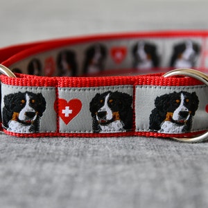 For Bernese Mountain Dogs