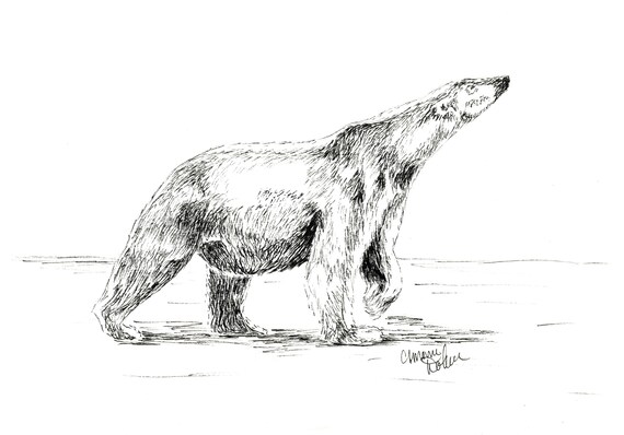polar bear ink