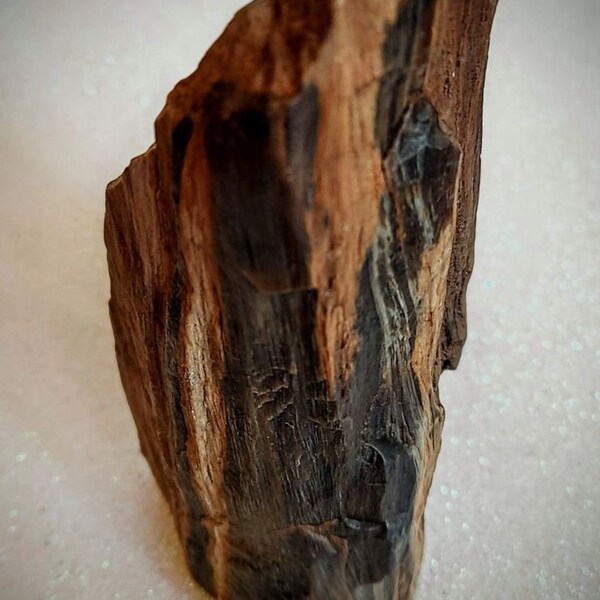 Petrified Wood Stand Etsy