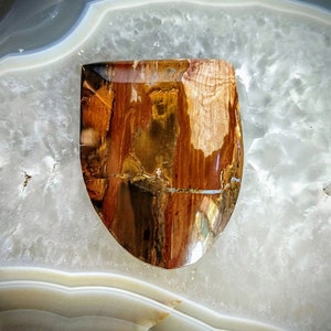 Picture Jasper Finished Shield Cabochon - 38x30mm