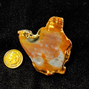 Polished 60x55mm Handcrafted Arizona Petrified Wood Specimen
