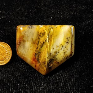 Polished 46x39mm Handcrafted Arizona Petrified Wood Specimen