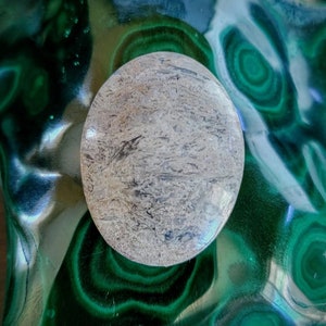 Agatized Petrified Wood Finished Oval Cabochon - 38x29mm