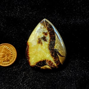 Polished Handcrafted 43x35mm Septarian Nodule Freeform Cabochon
